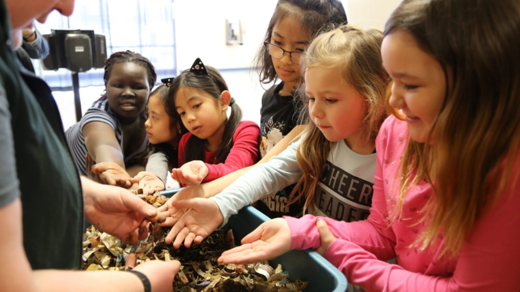 Garden Experience at Gardenscape