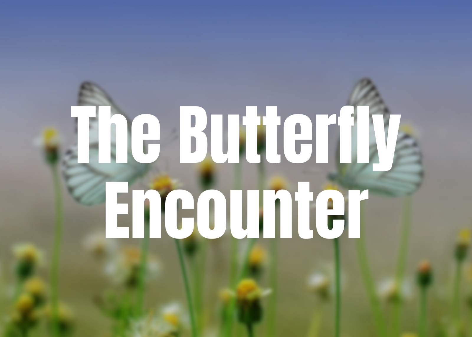 The Butterfly Encounter, cover