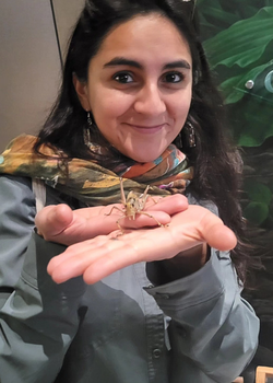 Teresa Aguiar- Cordero headshot